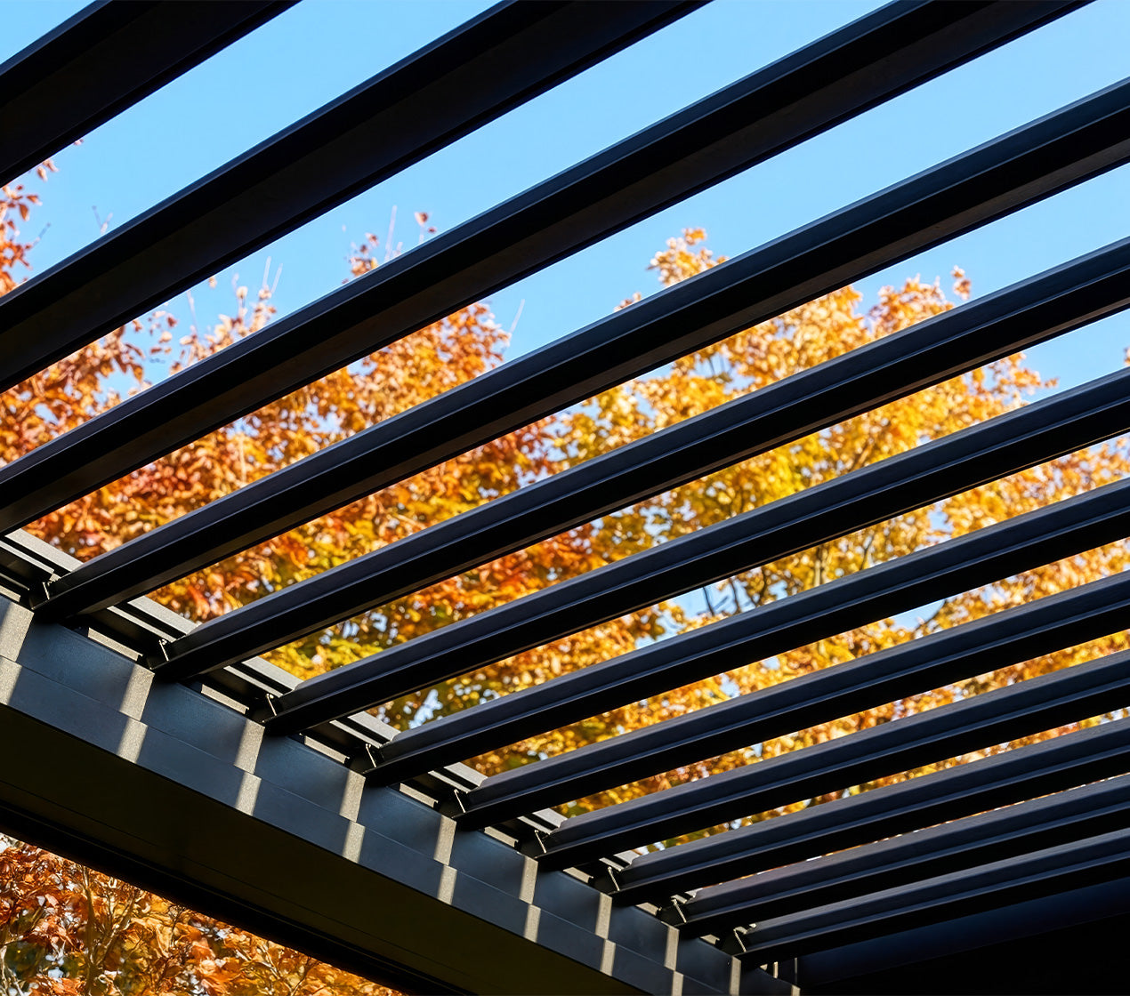 Pérgola CETINA 3x3m